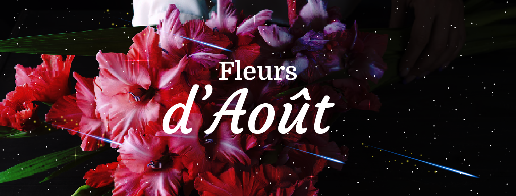 fleurs d'août en livraison en France