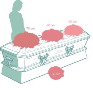 taille des coussins et paniers