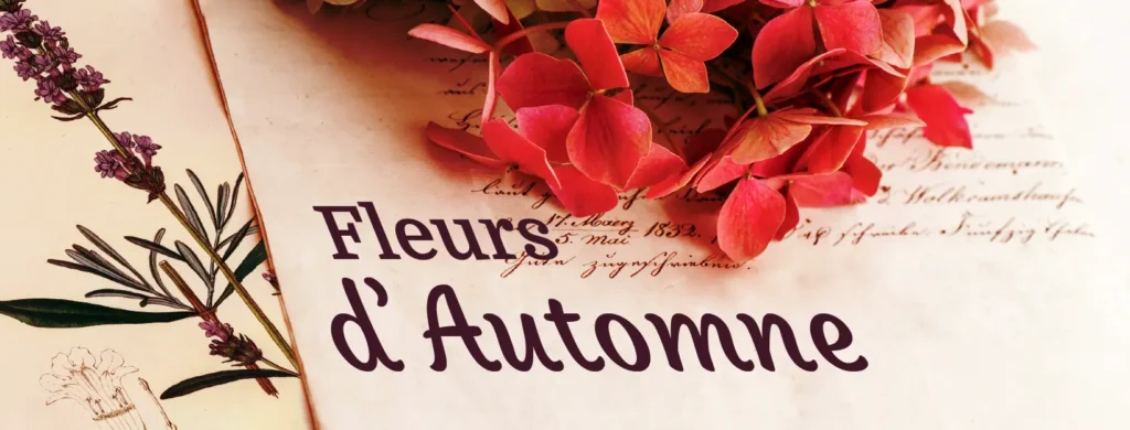 Toutes nos fleurs d'automne