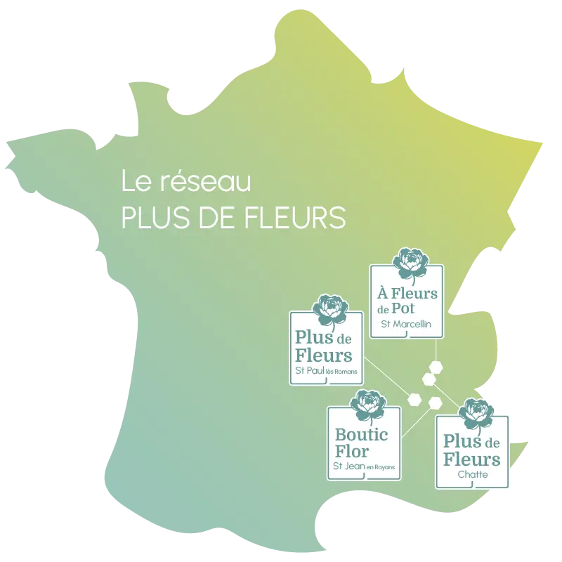 livraison de bouquets de fleurs de saison en France
