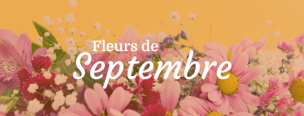 Livraison de fleurs de saison en septembre