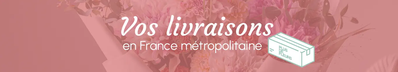 vos livraison en france métropolitaine