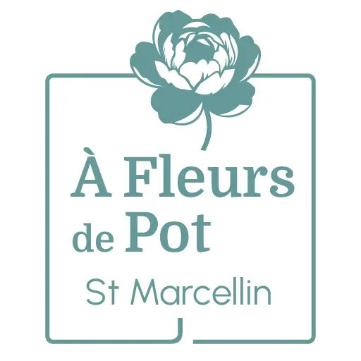 plusdefleurs à fleurs de pot saint marcellin logo plusdefleurs bouticflor saint jean en royans logo plusdefleurs chatte saint marcellin logo fleuriste local