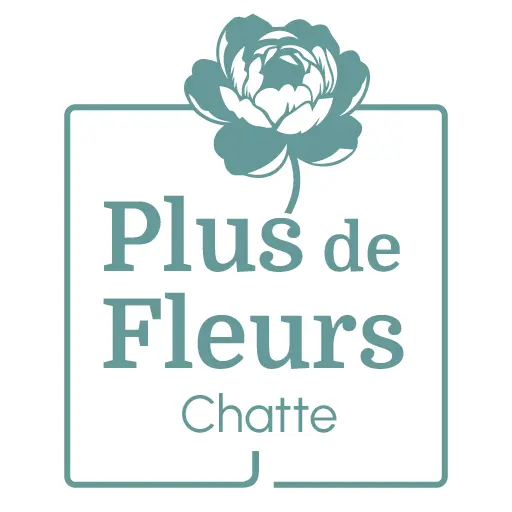 plusdefleurs chatte saint marcellin logo fleuriste local